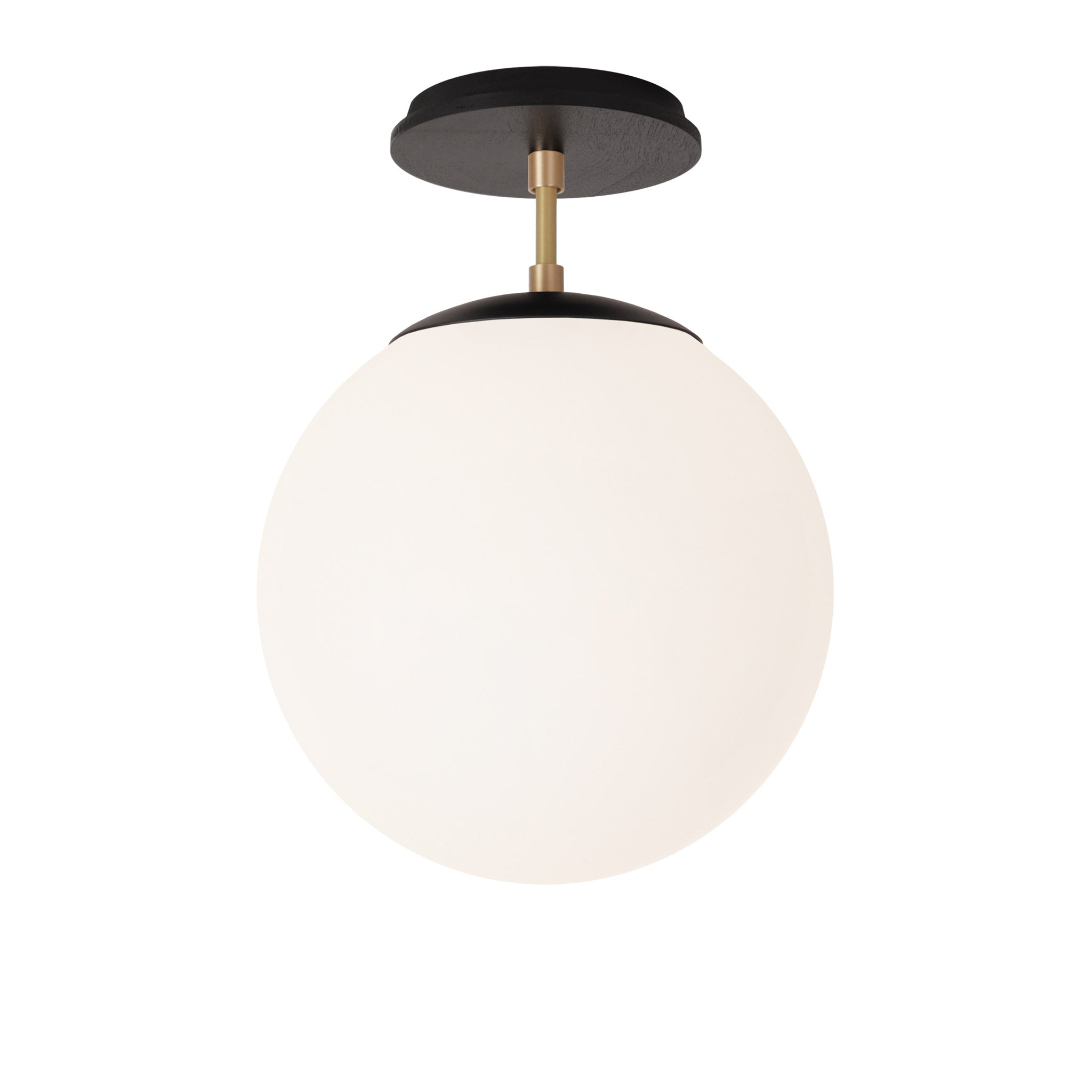 Alto Surface 10” shown in Matte Black with Brass and a Black Stained Wood Canopy