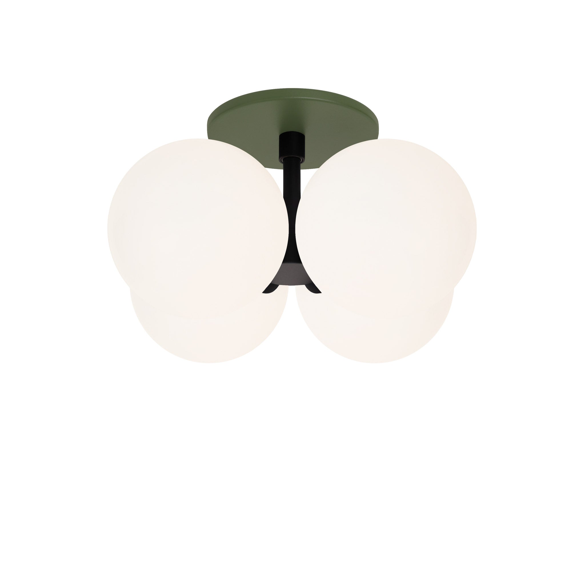 Selene Compass Surface shown in Matte Black with a Secret Garden Green Canopy