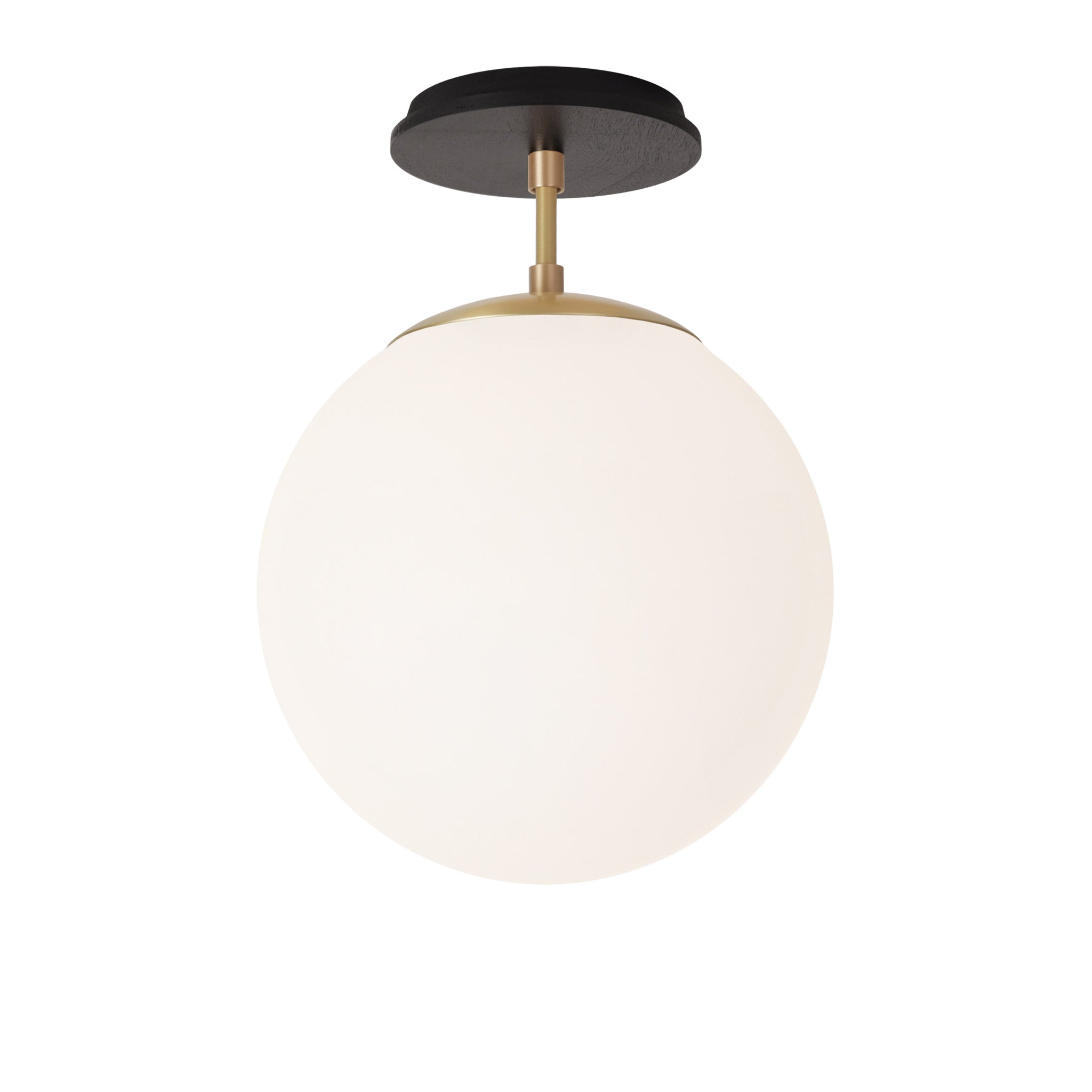 Alto Surface 10” shown in Brass with a Black Stained Wood Canopy