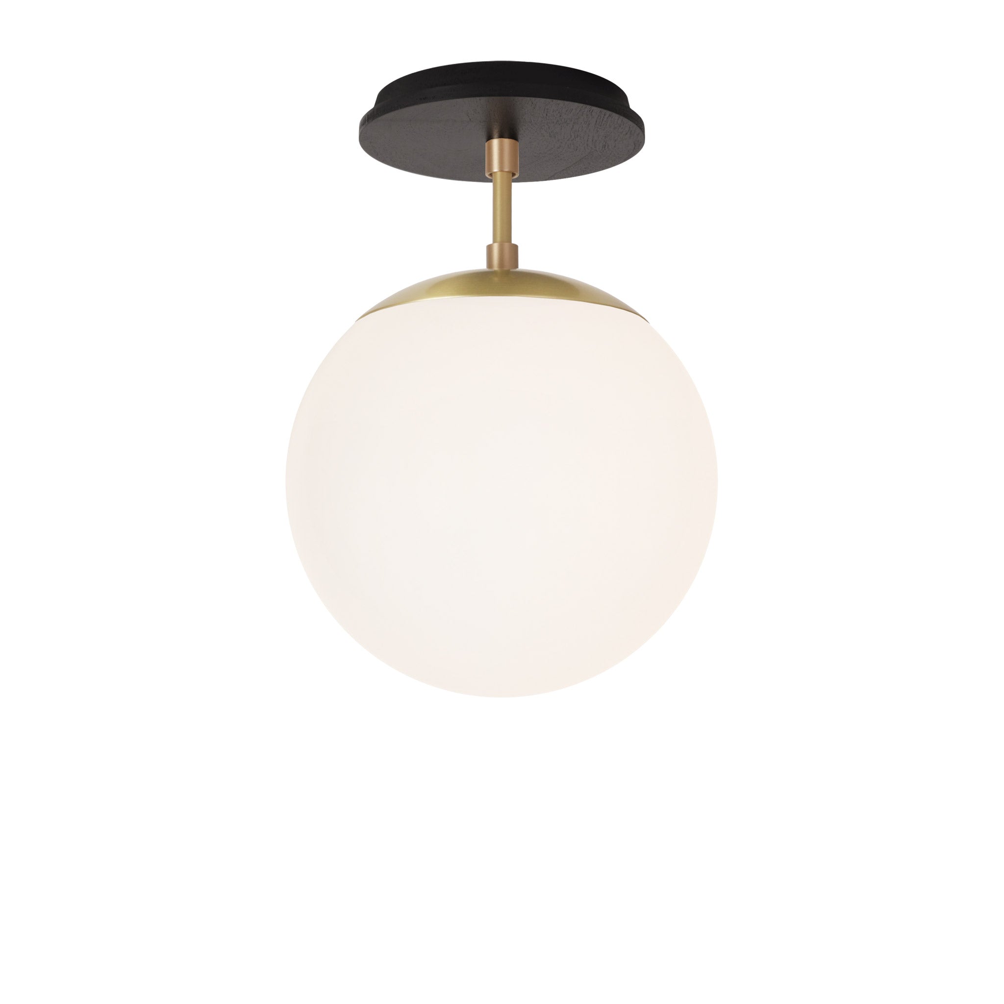 Alto Surface 8" shown in Brass with a Black Stained Wood Canopy