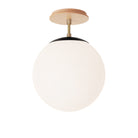 Alto Surface 10” shown in Matte Black with Brass and a Maple Wood Canopy