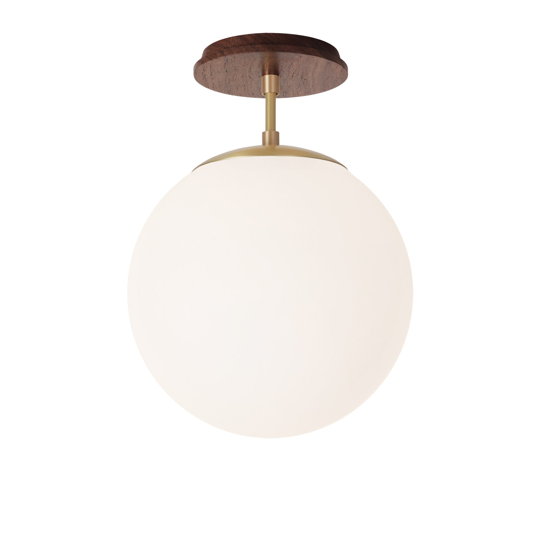 Alto Surface 10” shown in Brass with a Walnut Wood Canopy