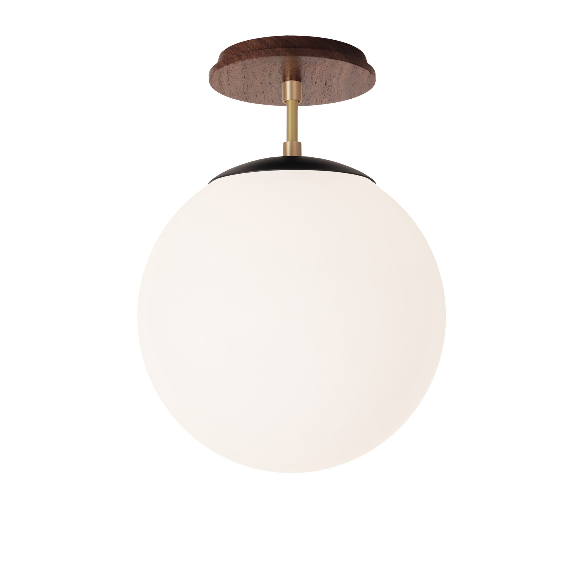 Alto Surface 10” shown in Matte Black with Brass and a Walnut Wood Canopy