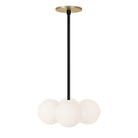 Selene Compass shown in Matte Black with a Brass Canopy