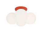 Selene Compass Surface shown with a Persimmon Canopy