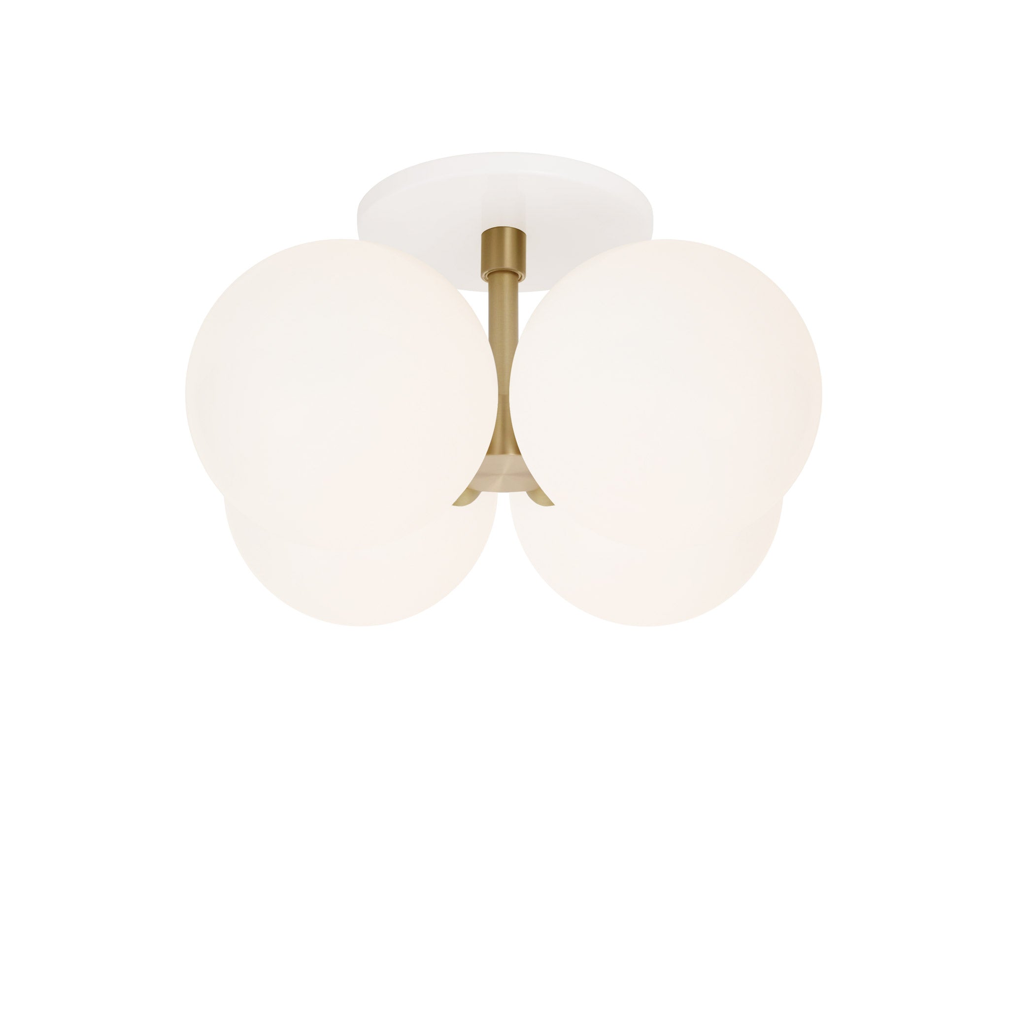 Selene Compass Surface shown in Brass with a White Canopy