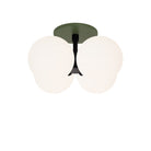 Selene Compass Surface shown in Matte Black with a Secret Garden Green Canopy