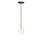 Selene Pendant shown in Brass with a Matte Black Canopy