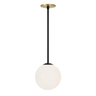 Selene 8" Pendant shown in Matte Black and a Brass Canopy