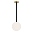 Selene 8" Pendant shown in Matte Black and a Heirloom Brass Canopy