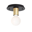 Swift shown with a Black Stained Wood canopy and Brass socket cup