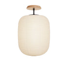 Umi Surface shown in Matte Black with a Maple Wood Canopy