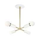 Venus Compass shown in White and Brass