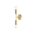 Venus Mini shown in Brass with a Backplate Dimmer Switch