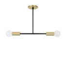 Venus Pendant shown in Brass with Matte Black Accents