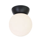 Wren 8" shown in Black Stained