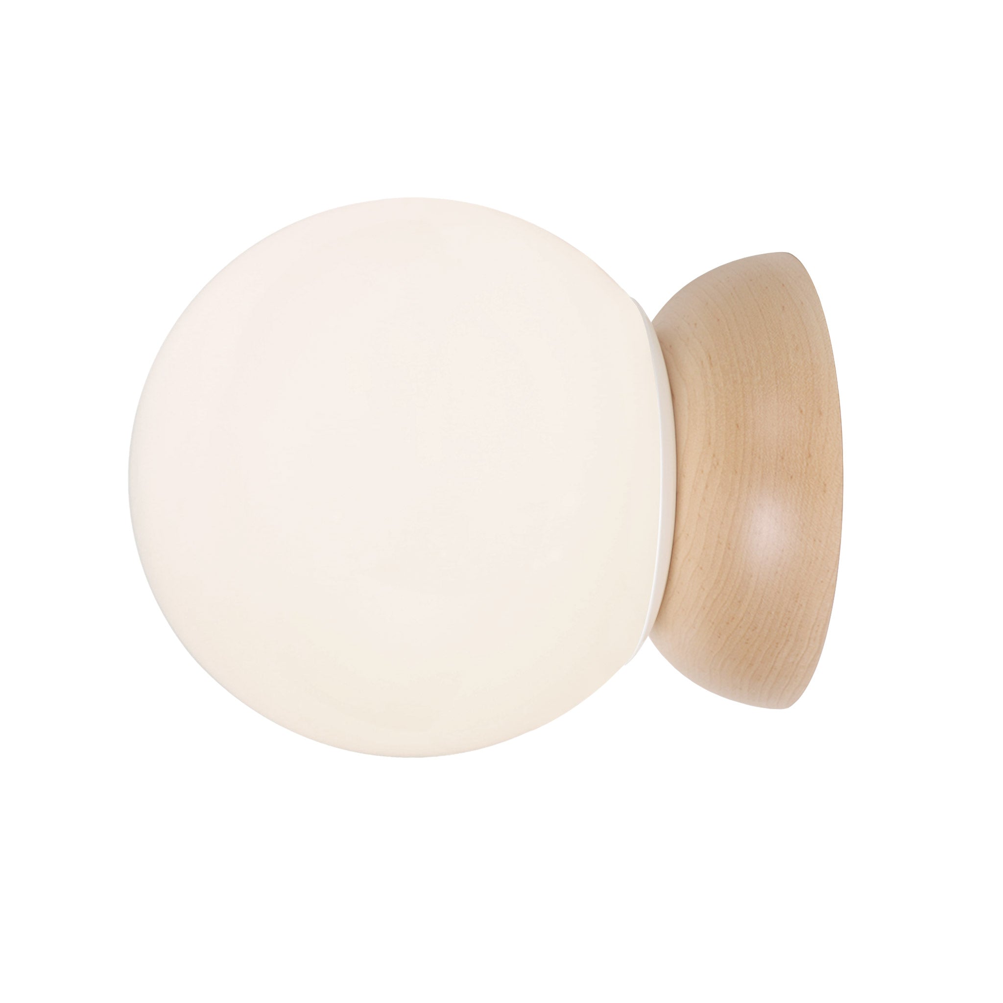 Wren 8" shown in Maple