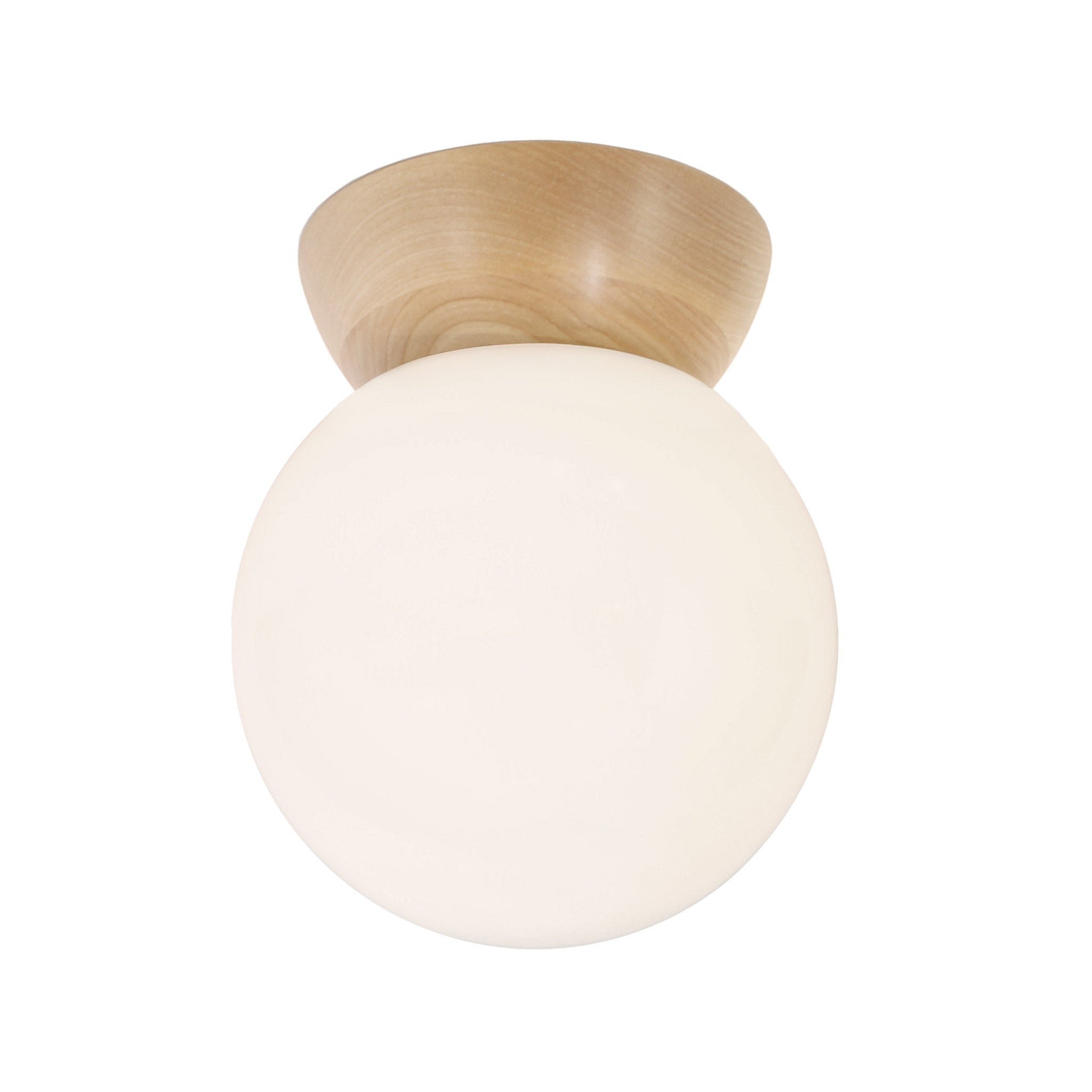 Wren 8" shown in Maple