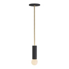 Fjord Rod Pendant shown in Matte Black with Brass