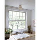 Terra Surface in Bone