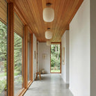 Umi Surface lights shown in Heirloom Brass with Walnut Wood Canopies