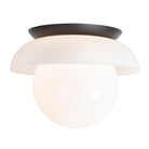 Glass Lexi Large 8" shown in Matte Black