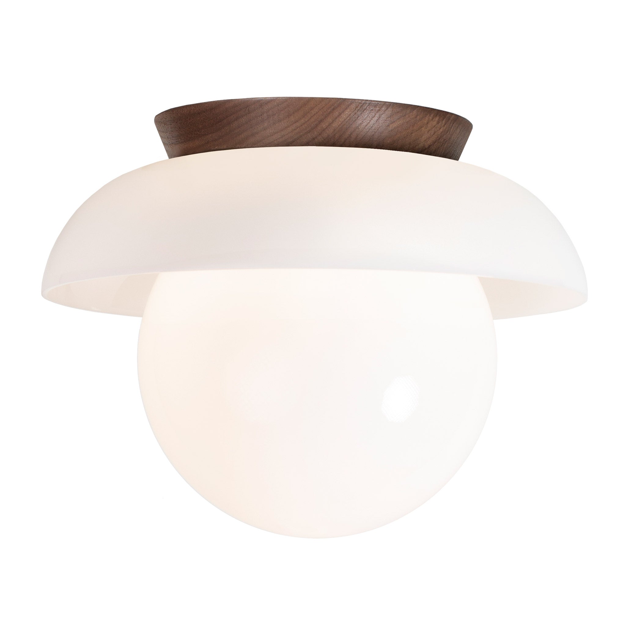 Glass Lexi Large 8" shown in Walnut