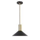 June Rod Pendant shown in Matte Black with Brass
