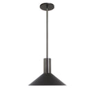 June Rod Pendant shown in Matte Black with Graphite Patina