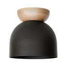 Amélie Surface 8" shown in Matte Black with a Maple canopy