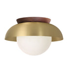 Lexi Large 8” shown with a Solid shade in Brass and Walnut canopy