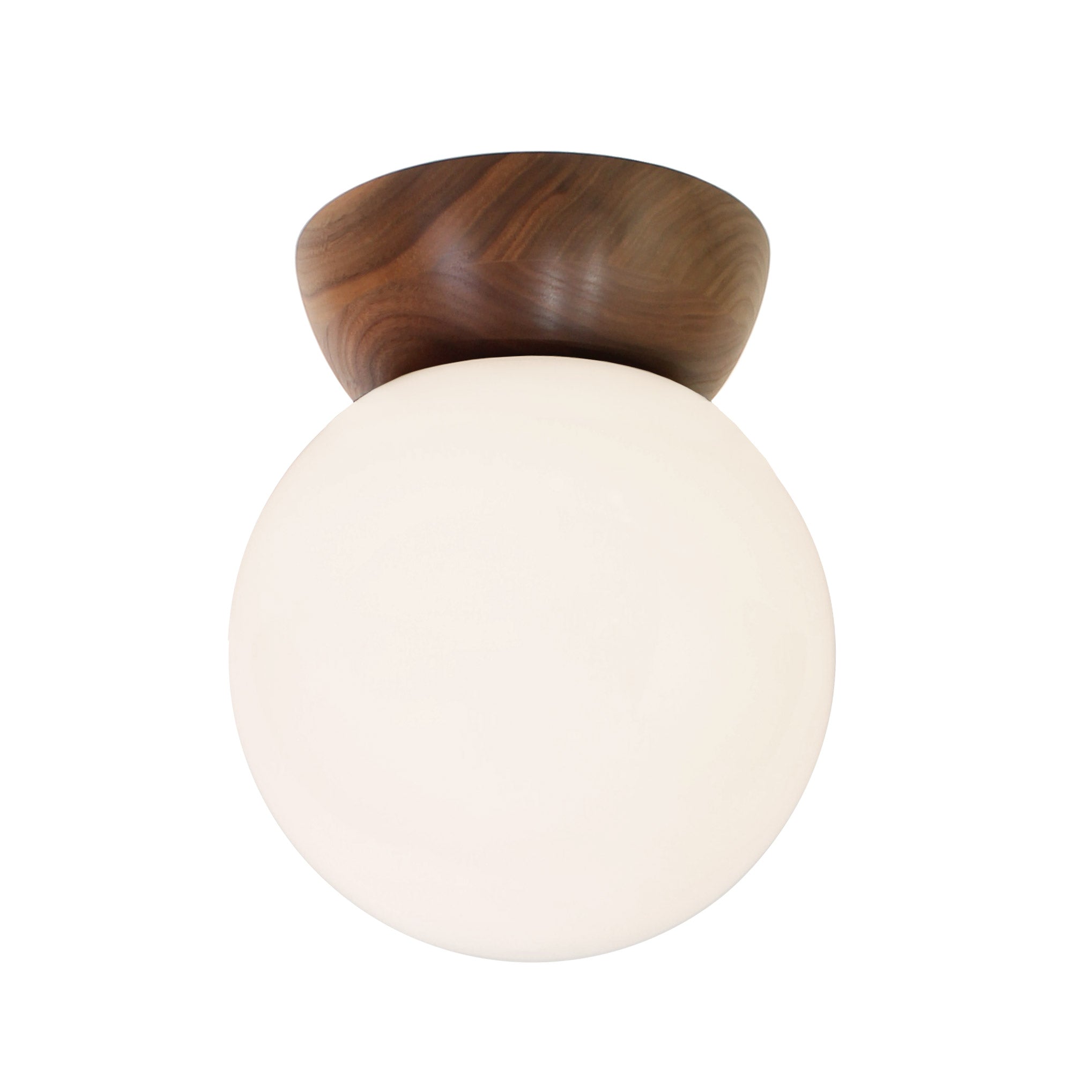 Wren 8" shown in Walnut