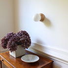 Wren 5" shown in Maple