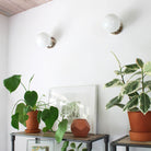 Moss 6" Sconce shown in Polished Nickel